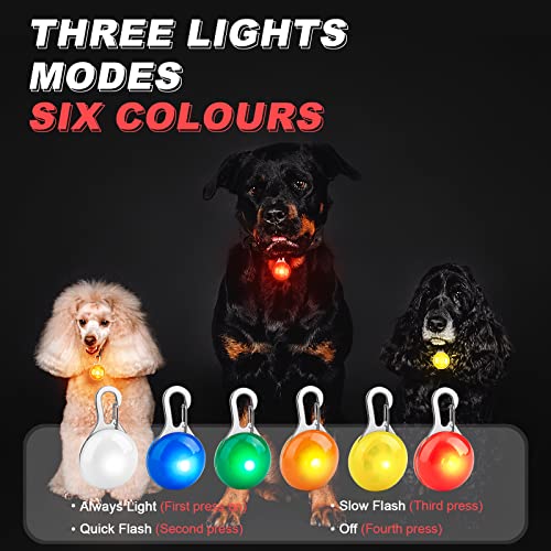Collar LED Perro, Luz Collar Luminoso Perro - WONLIVE 6 Luces de Colores de Seguridad Luminoso Impermeable con 6 Baterías de Repuesto para Llavero, Ciclismo, Senderismo, Niños, Regalos para Mascotas